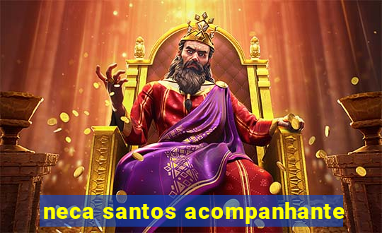 neca santos acompanhante